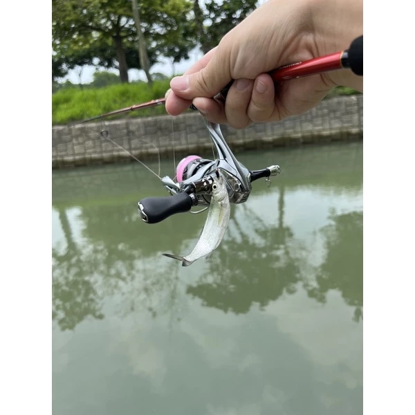 【LUREER】紅頭蟲 毛鉤 14# 10入 超小鉤 卑鄙釣組 路亞 微物 馬口 毛鉤 溪哥 溪流 飛蠅