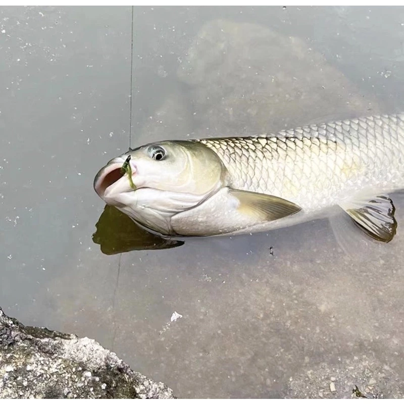 【LUREER】 高擬真青苔毛鉤 4入 「特價」自然飄逸 吳郭魚 草魚 鯉魚 馬口 溪流 微物 毛鉤 飛釣