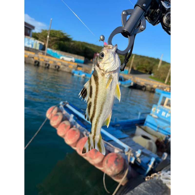 【LUREER】微物T尾軟蟲 極小3公分 一包20入 大小通吃 軟蟲 爆咬款 根魚 吻仔魚 路亞