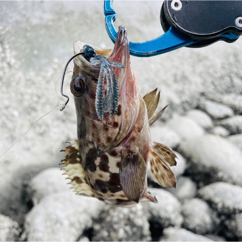 【LUREER】 浮水 pipi蝦軟蟲 6公分 15條裝 添加誘魚劑 路亞 黑鱸 鱸魚 管池 無鉛釣組 德州釣組 根魚
