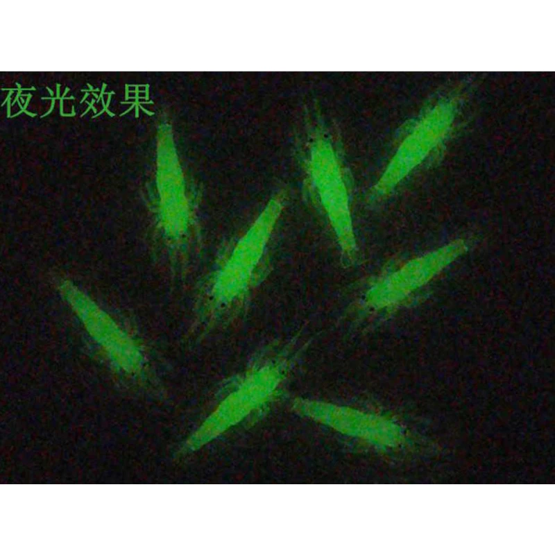 【LUREER】 帶鉤仿真小蝦 4公分 一包10入 夜光 路亞 軟蝦 軟餌 軟蟲 根魚 海釣 根魚
