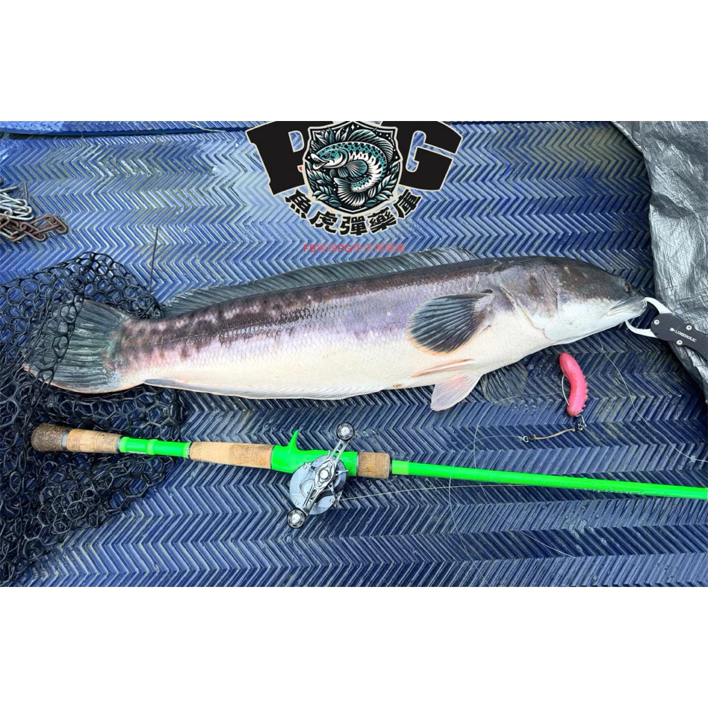 【LUREER】 PG 虎藍鳥 4入裝 <18.25克高比重> 打虎必備 雷強 泰國鱧 耐咬 障礙場 熱狗 雪茄