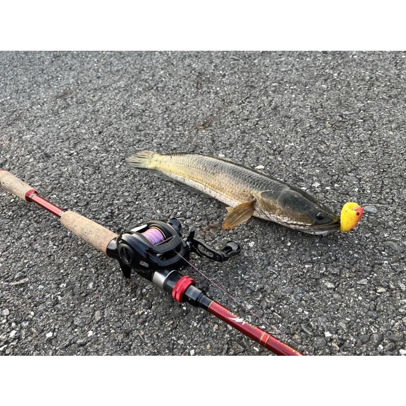 【LUREER】蛋蛋蛙 12.2G 遠投 雷蛙 軟皮 改裝 雷強 魚虎 一口蛙