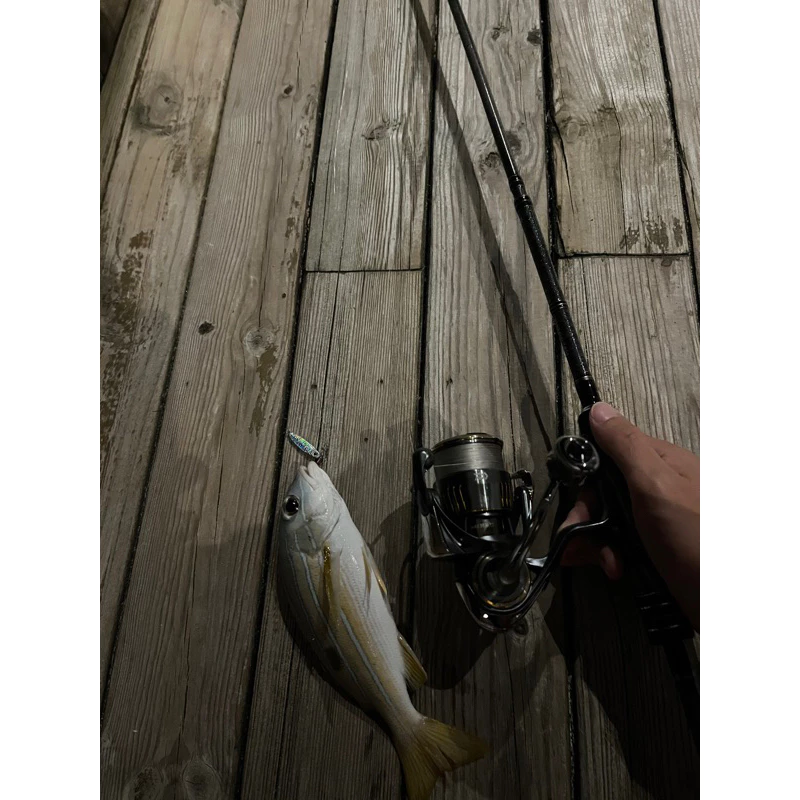 【LUREER】 扁型微鐵 5克 <搭配單鉤> 根魚 鐵板 路亞 亮片 遠投 根釣