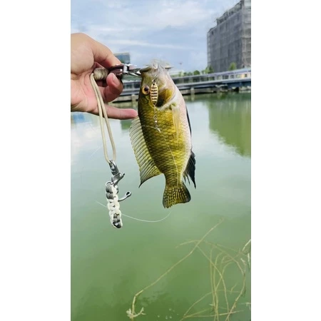 【LUREER】平振亮片 實測超好用 微物 亮片 spoon 馬口 溪哥 根魚 卷仔 溪流 路亞
