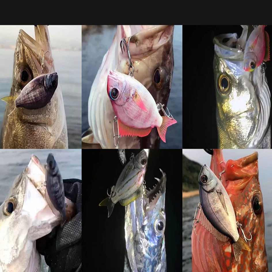 【LUREER】 3D 高擬真鯛魚 VIB 11克/24克 高質感塗裝 盒裝 仿真餌 路亞 顫泳 高品質