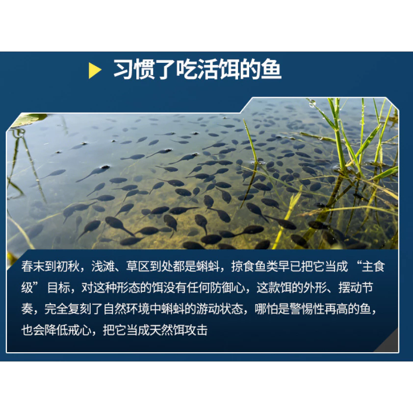 【LUREER】 Minsy 名犀 水面蝌蚪餌 8克 盒裝 <可拆卸軟尾> 路亞 小胖 crank 米諾 黑鱸