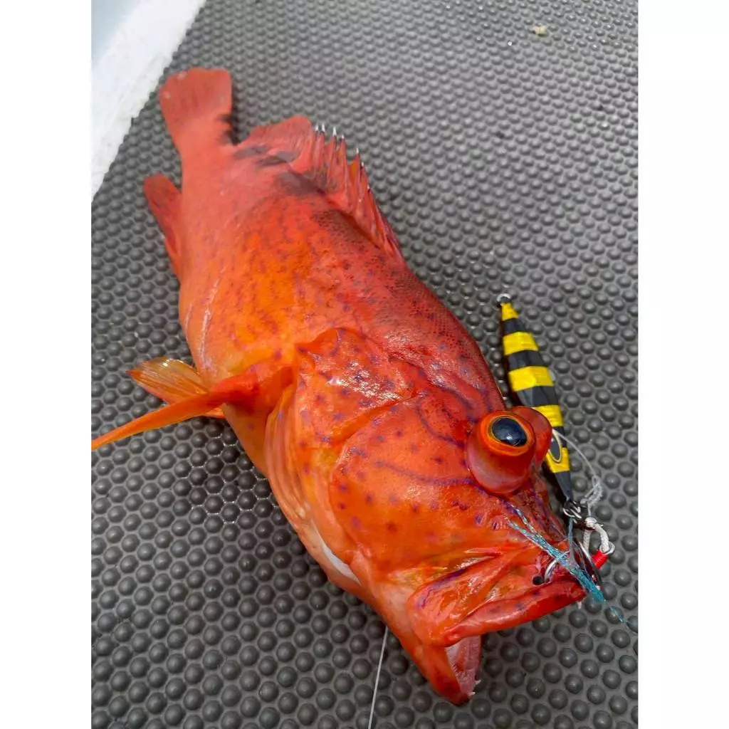 【LUREER】 GHOST BLADE 鬼刃 輕鐵組合包 40克/60克 岸拋一包搞定 路亞 鐵板