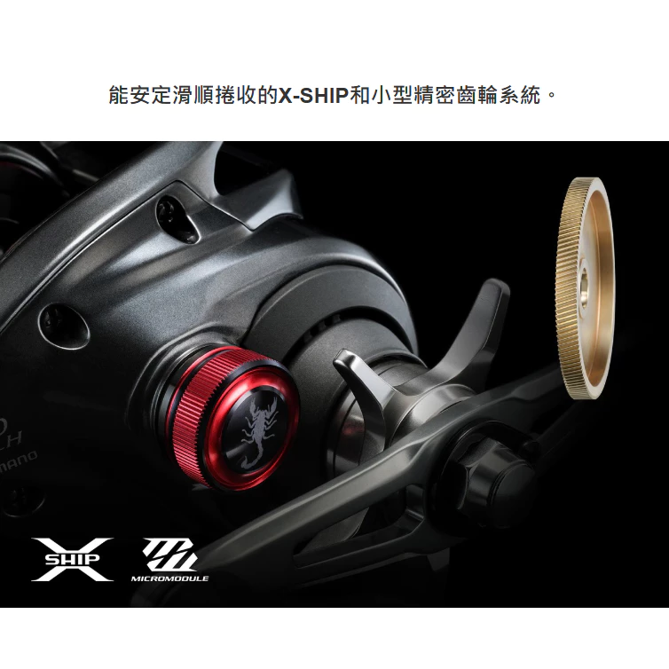 【LUREER】 SHIMANO 24 Scorpion MD 300 紅蠍 MD 大物 雙軸捲線器 路亞 岸拋 船拋
