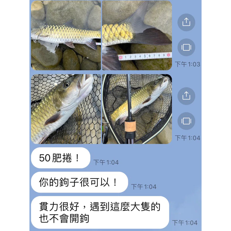 【LUREER】 高品質 大眼單鉤 散裝 碳氟塗層 硬餌改裝 加強 米諾 鉛筆 路亞 岸拋 捲仔 單鉤 米諾 岸拋 防掛