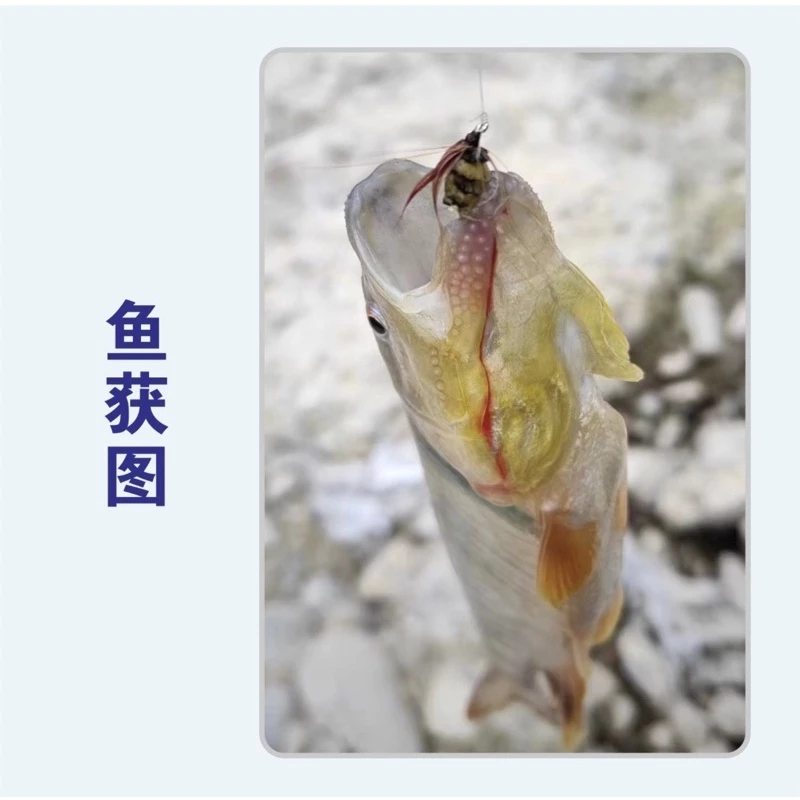 【LUREER】 小蜜蜂毛鉤 5入 14# 微物 手工綁製 精品毛鉤 路亞 毛鉤 溪流 馬口 飛釣 溪哥 助投器 蜜蜂