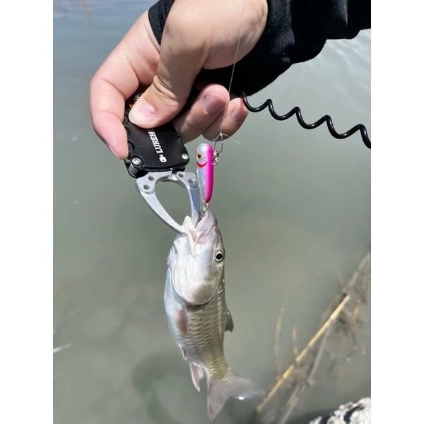 【LUREER】小魚雷 2.5G 小鉛筆 水雷 沉水鉛筆 微物 根釣