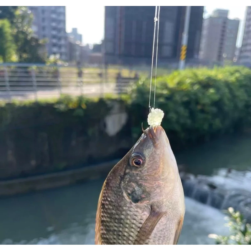 【LUREER】 浮水刺球 10mm 20入 鯉魚 吳郭魚 路亞 香香豆 軟餌 軟蟲 微物