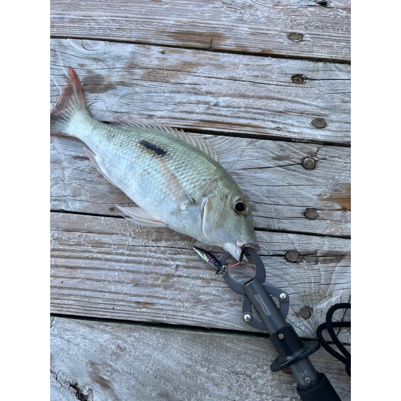【LUREER】 竹莢魚鐵板 7-60克 高擬真 3D打印技術 鐵板 路亞 岸拋 微鐵 根魚 海釣 竹筴魚