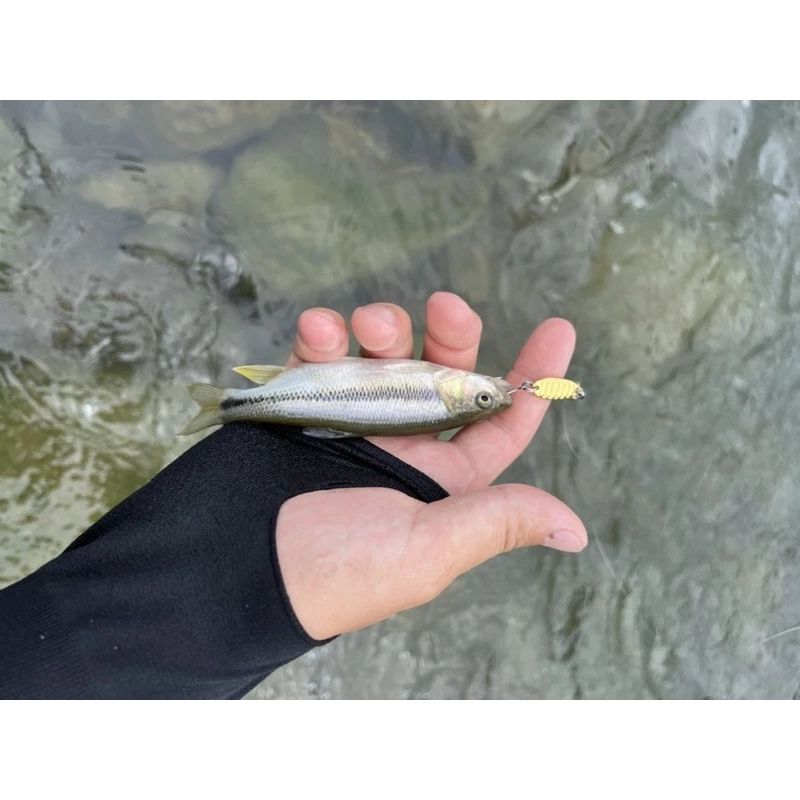 【LUREER】平振亮片 實測超好用 微物 亮片 spoon 馬口 溪哥 根魚 卷仔 溪流 路亞