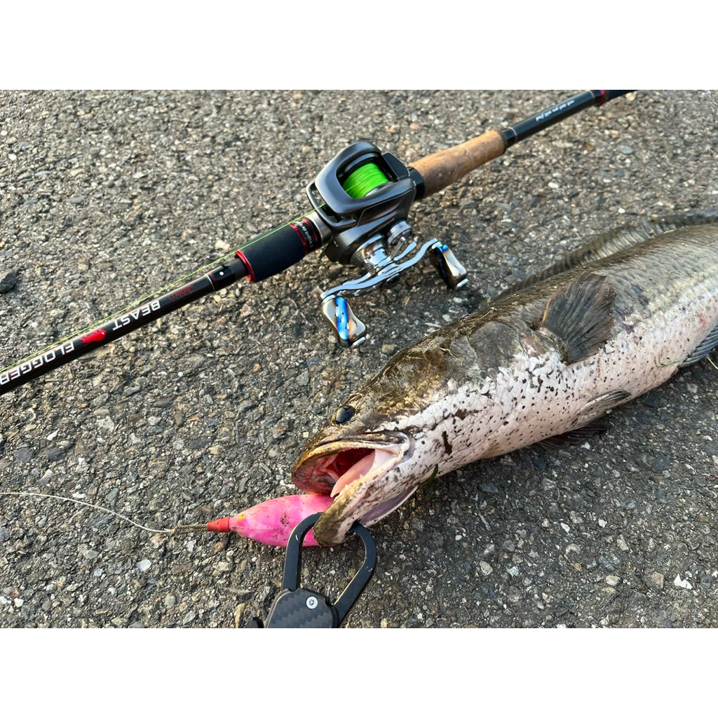 【LUREER】 PRO STYLE 50M 貝克力PRO STYLE100% 碳纖前導線 子線 碳纖線 路亞