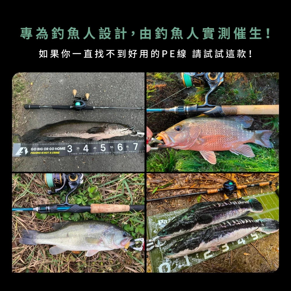【LUREER】Urban Lure 城市路亞 Urban Path X8 日本製雙塗層 PE線 釣魚線 PE線