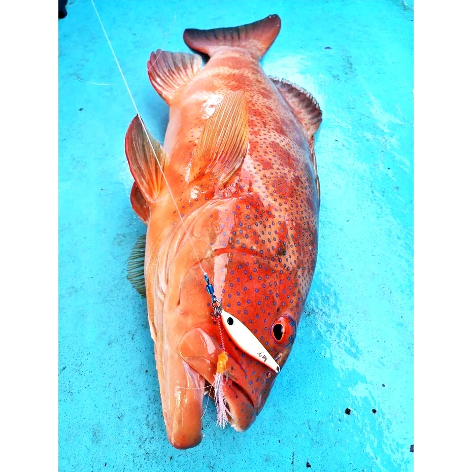 【LUREER】 SAME 莎美 日本製 強力彩色轉環 <小包多規格> 船釣鐵板 慢鐵 快鐵 八字環 轉環