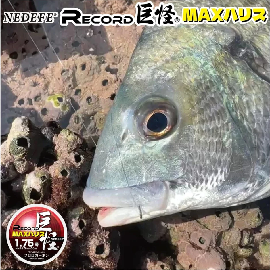 【LUREER】 NEDEFE RECORD 巨怪 MAX 碳纖線 子線 史上超強力三層結構與隱形結構 路亞 磯釣 前打