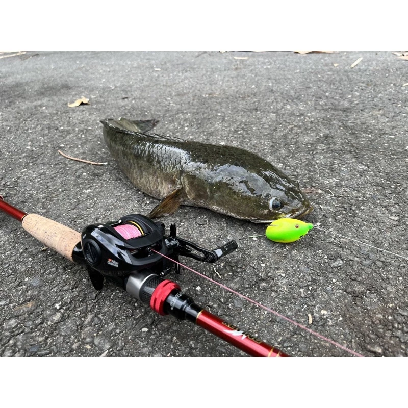 【LUREER】蛋蛋蛙 12.2G 遠投 雷蛙 軟皮 改裝 雷強 魚虎 一口蛙