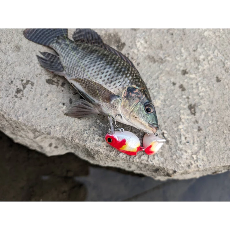 【LUREER】 雙節小金魚 米諾 6.8克 高仿真塗裝 路亞 金魚 多節魚
