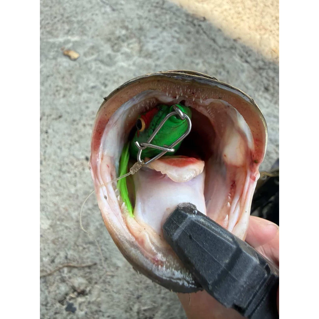 【LUREER】 ENYONG LURE 印尼手工製 GECKO 血紋雷蛙 10G 雷強 雷蛙 魚虎 泰國鱧 鮎呆