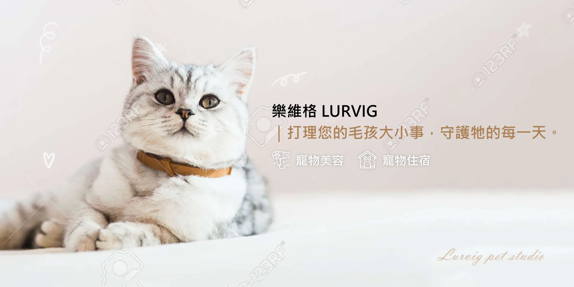樂維格寵物生活館-寵物住宿,寵物美容,台中寵物住宿,北區寵物美容