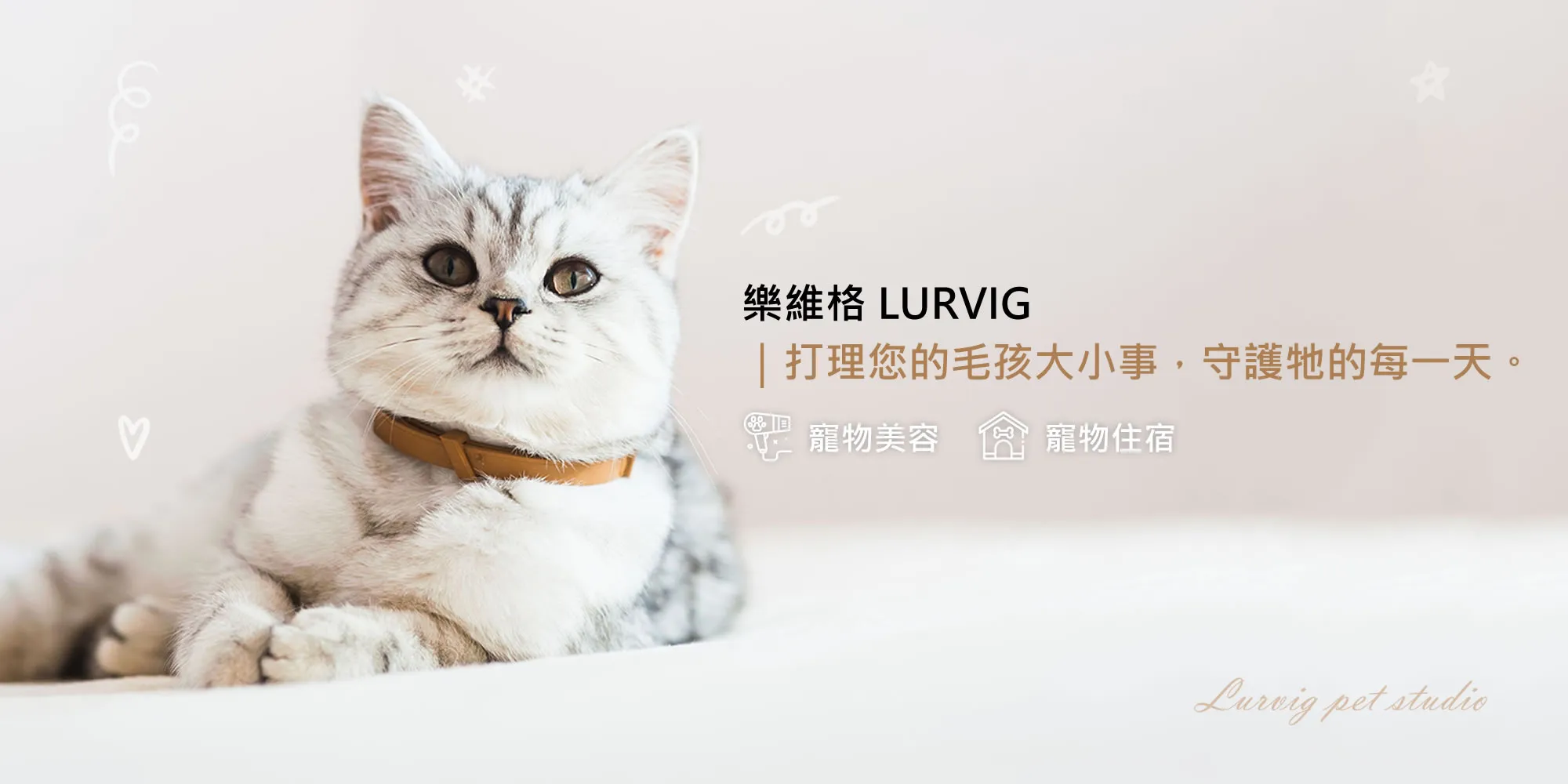 樂維格寵物生活館-寵物住宿,寵物美容,台中寵物住宿,北區寵物美容