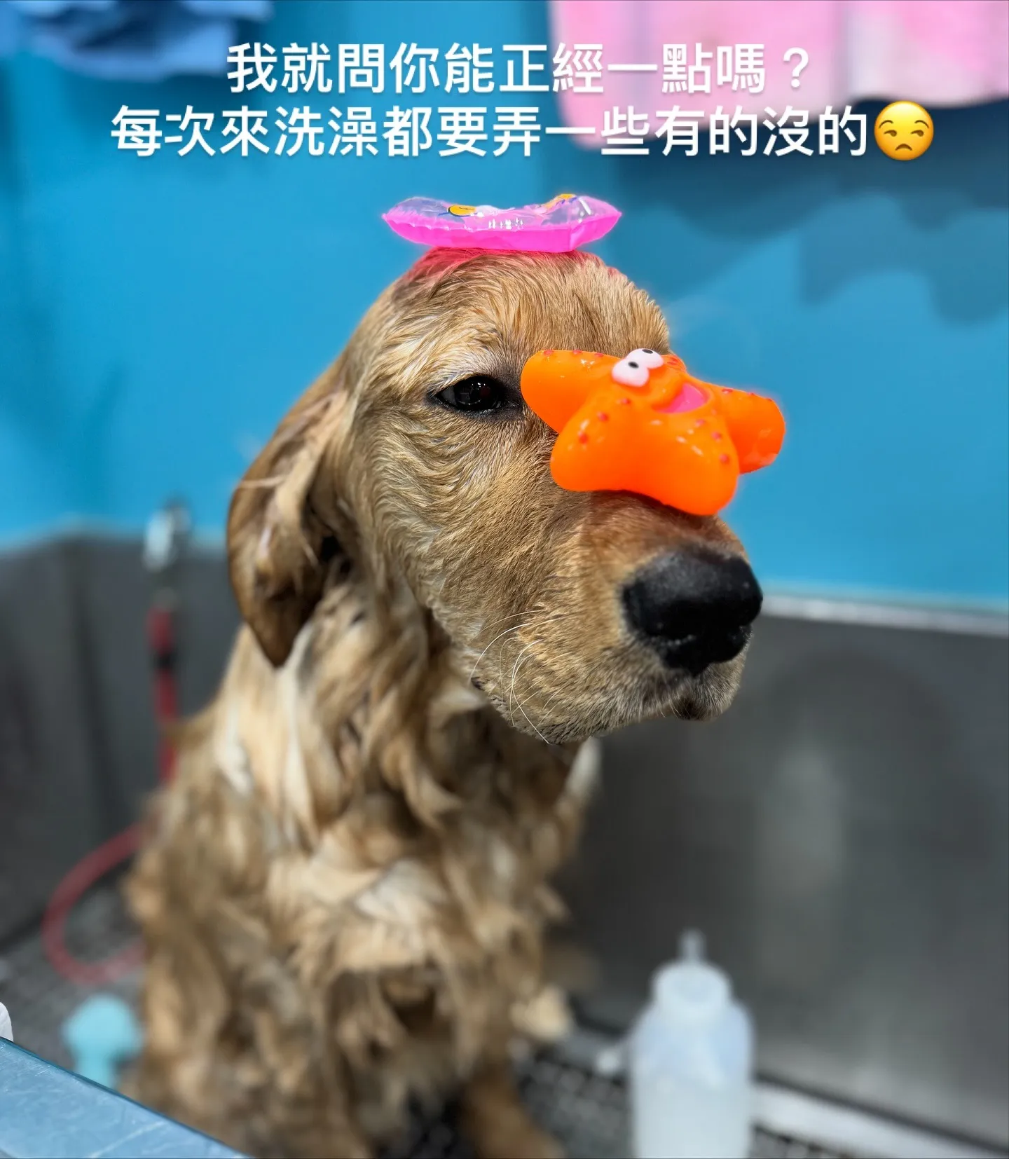下次挑戰頂3個玩具?