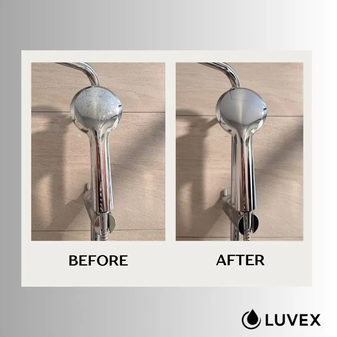 《居家鍍膜服務紀錄｜貓咪家庭的清潔友善防護方案》