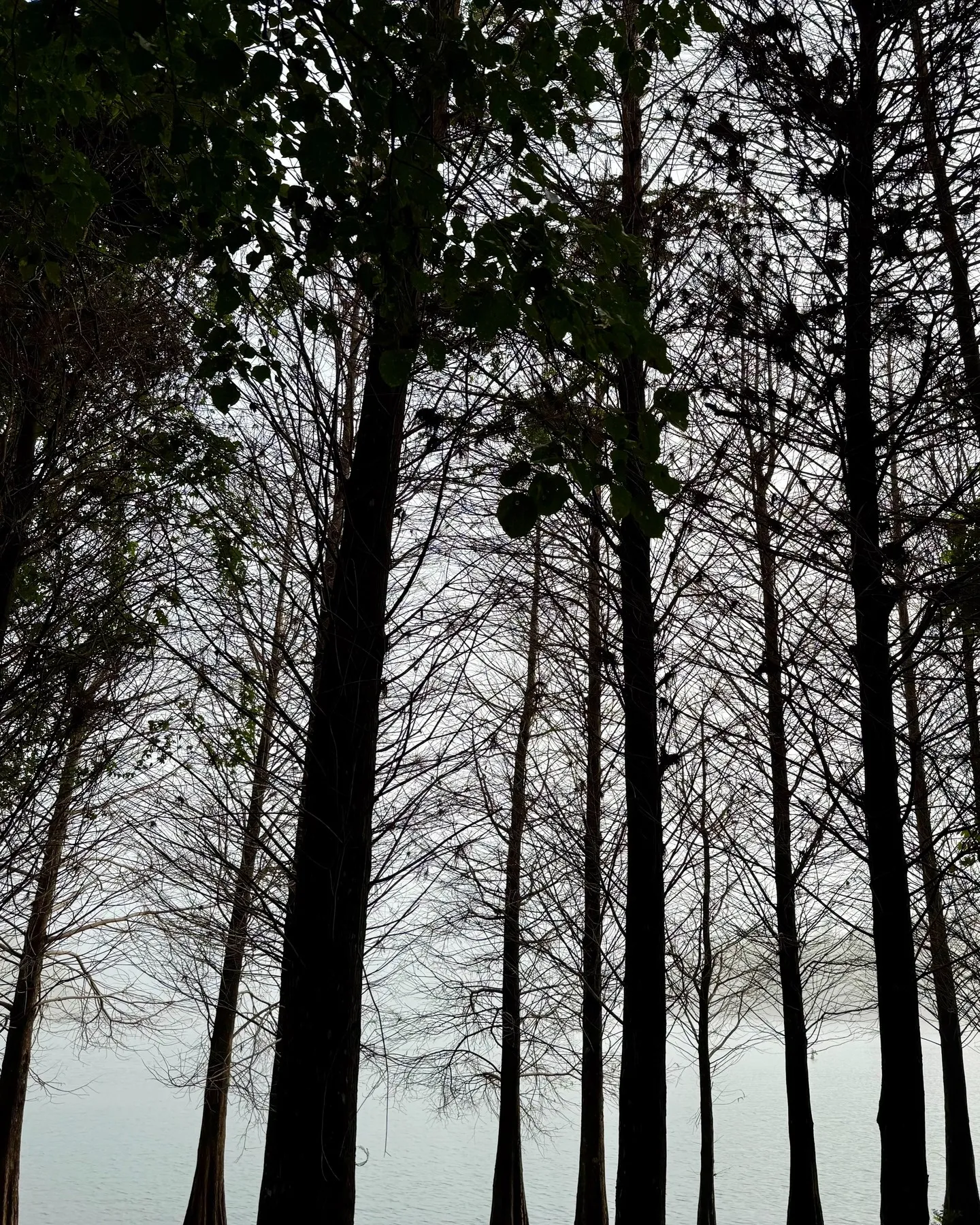 你家社區的錢，還在嗎？