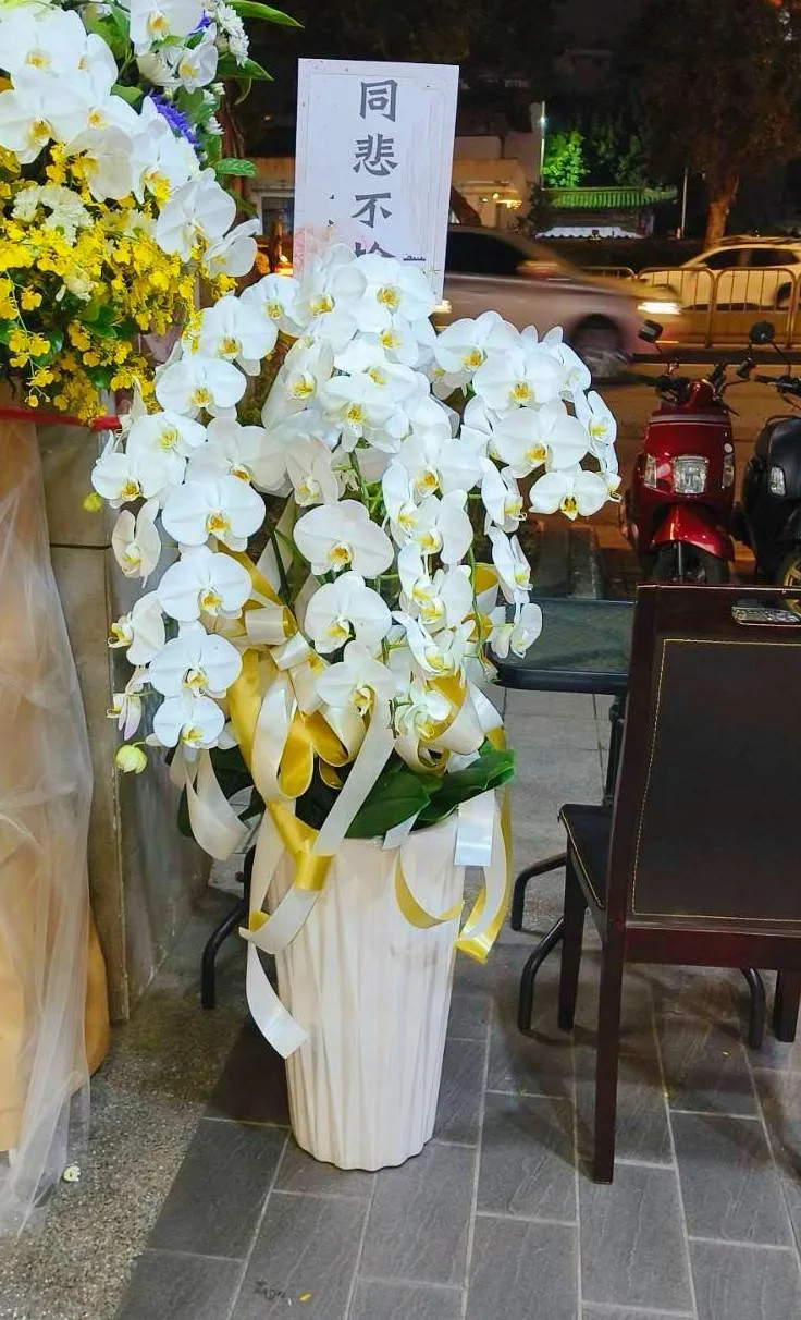 5株蘭花盆栽