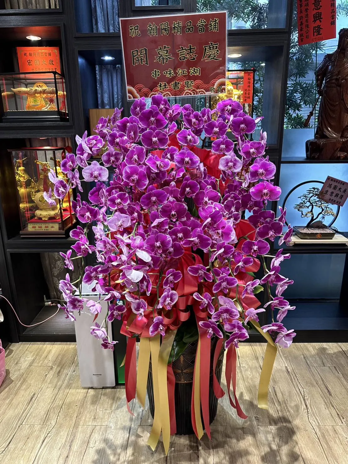 20株蘭花盆栽