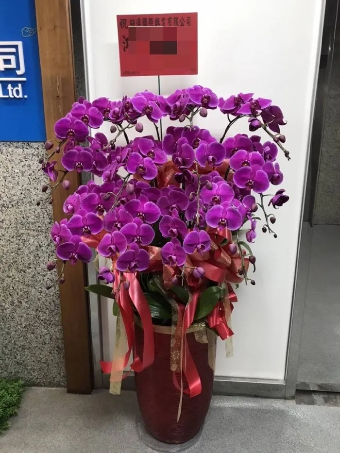 蘭花盆栽