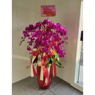 蘭花盆栽
