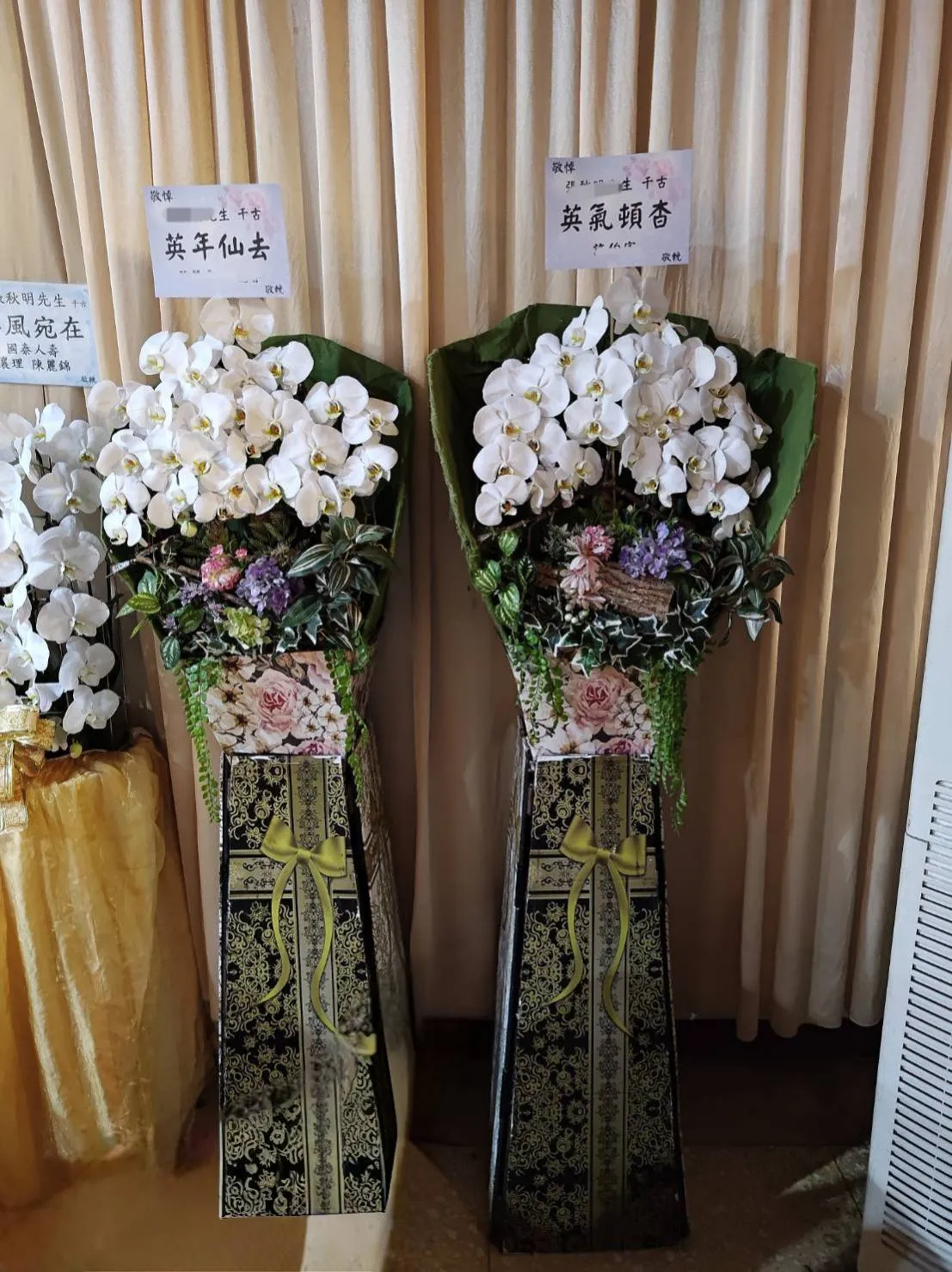 出租蘭花-御品系列