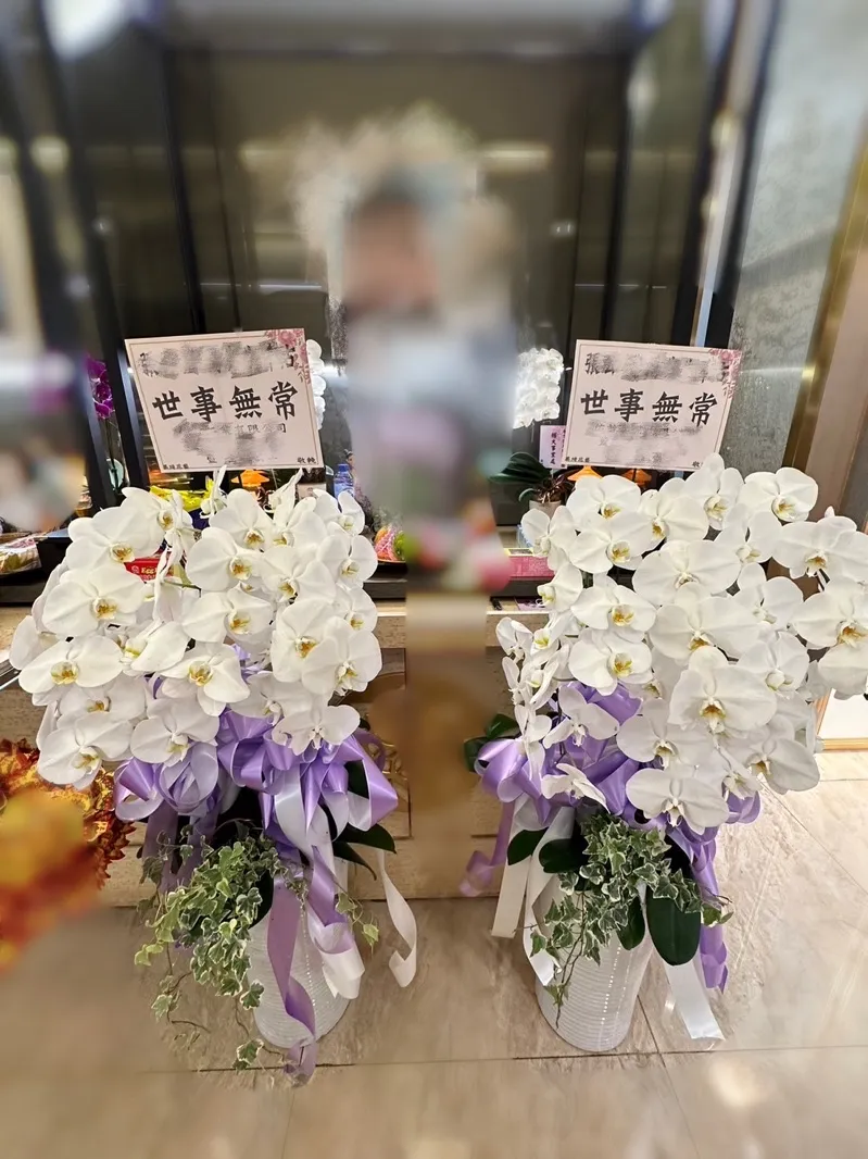 7株蘭花盆栽