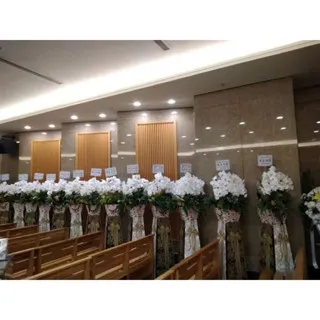 出租蘭花-御品系列