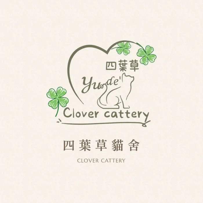 貓咪換環境不吃飯怎麼辦？