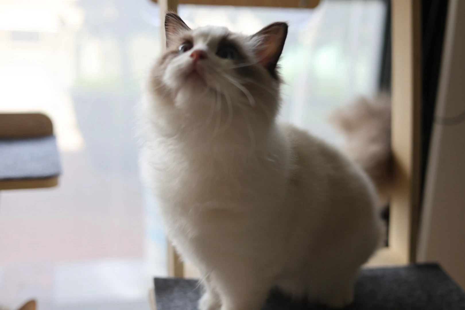 火焰