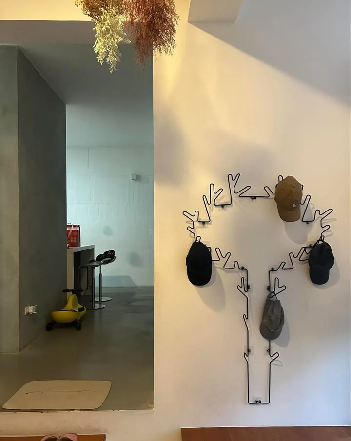 麥友開箱☃︎maze