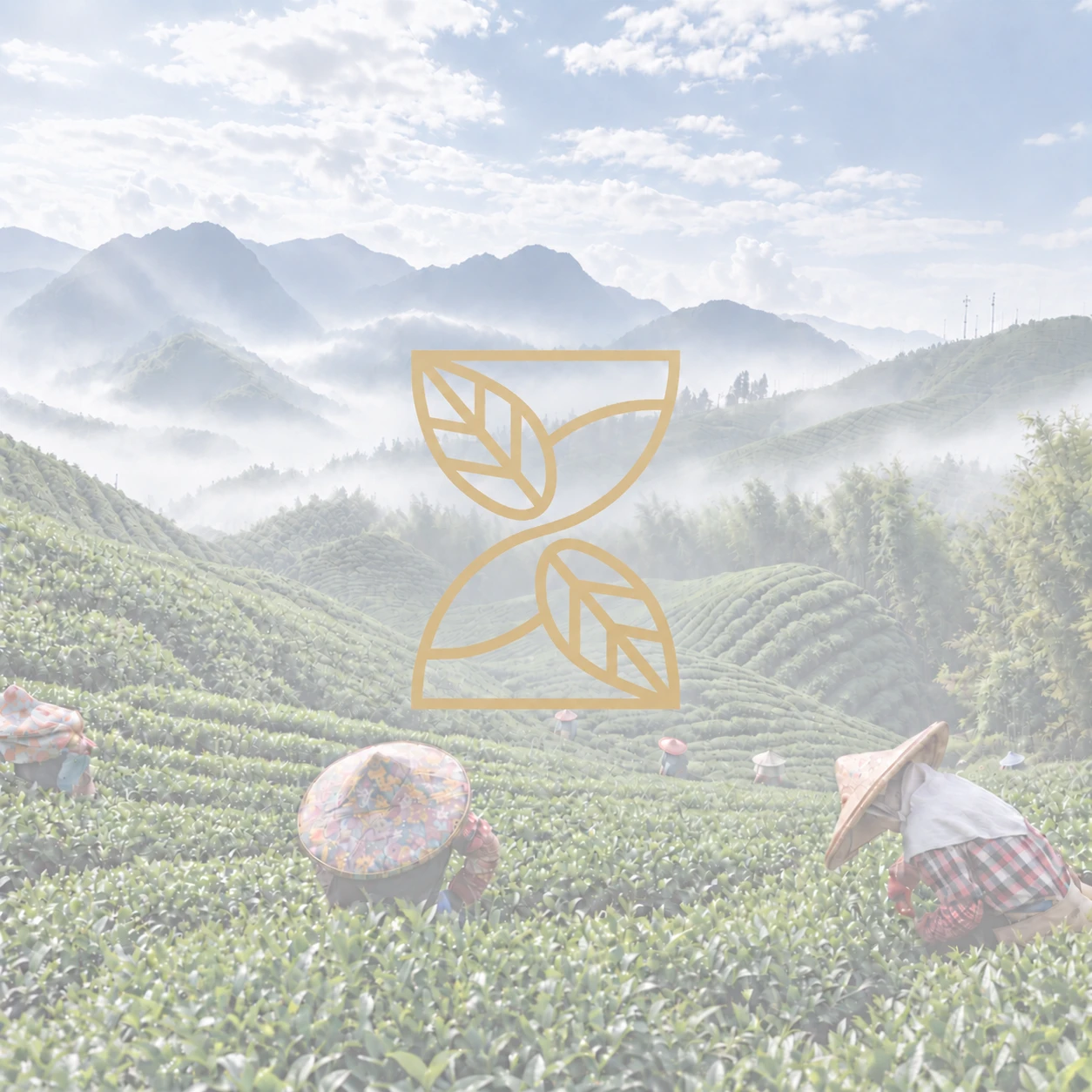 第一次參加茶道體驗？台中茶道體驗課程/西屯茶道體驗課程