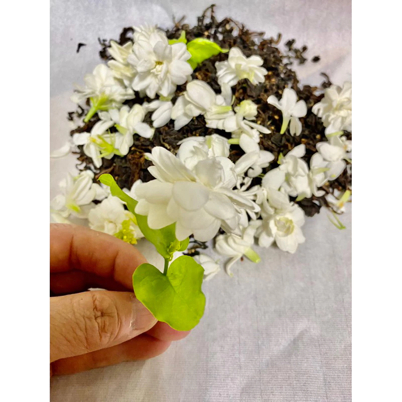 茉莉花不知春茶