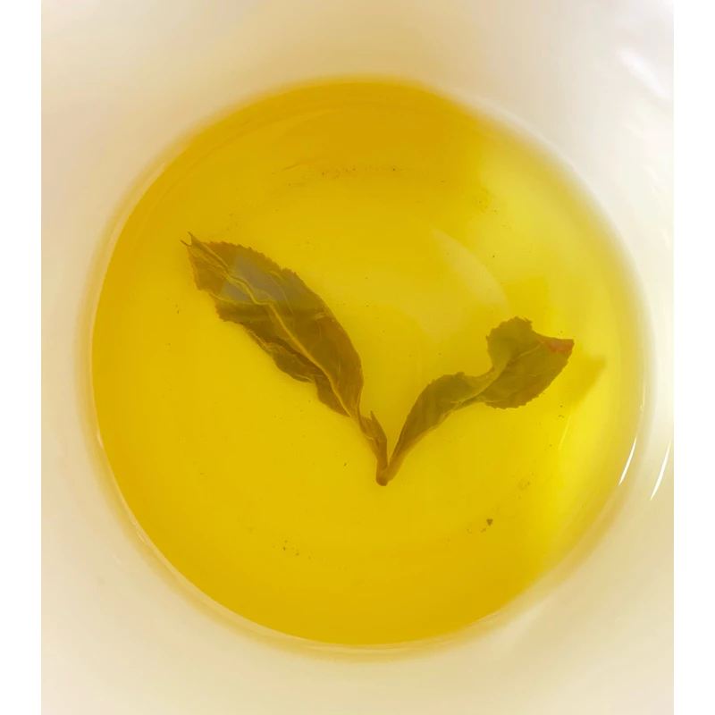 高冷 不知春茶 禮盒