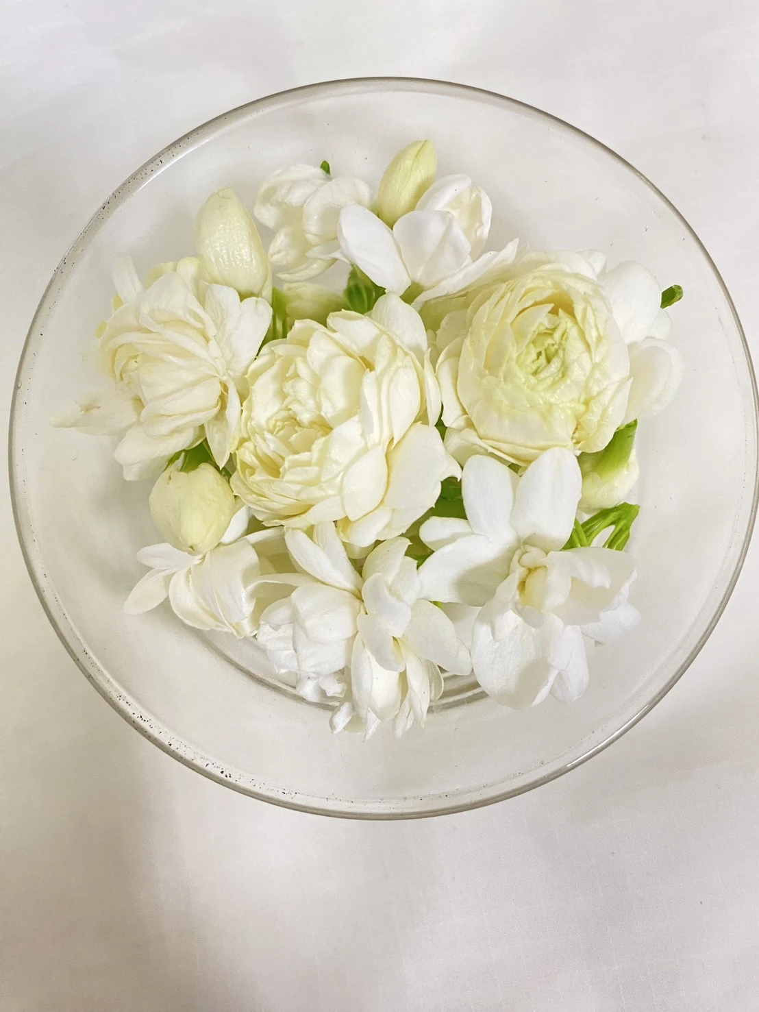 手作 不知春茉莉花茶禮盒