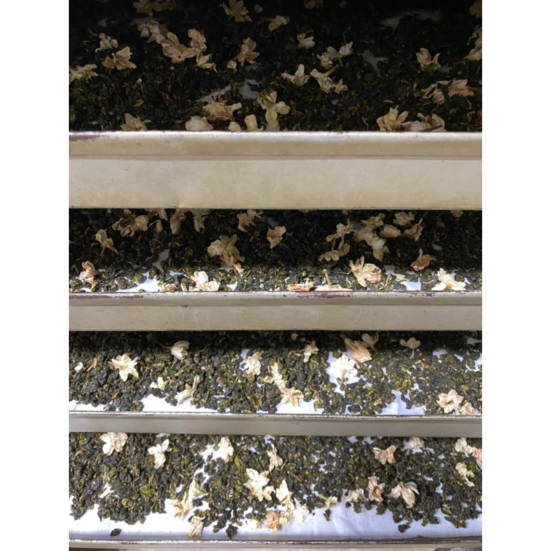 手作 不知春茉莉花茶禮盒