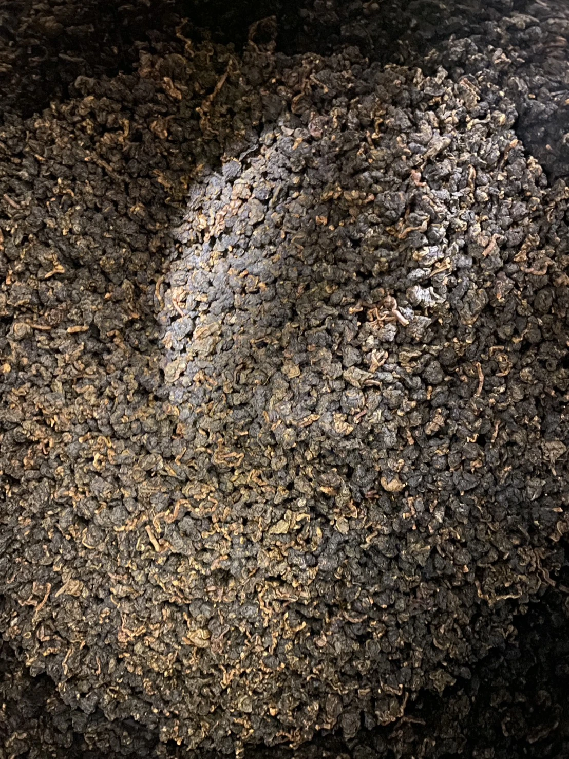 阿里山 珠露烏龍老茶禮盒