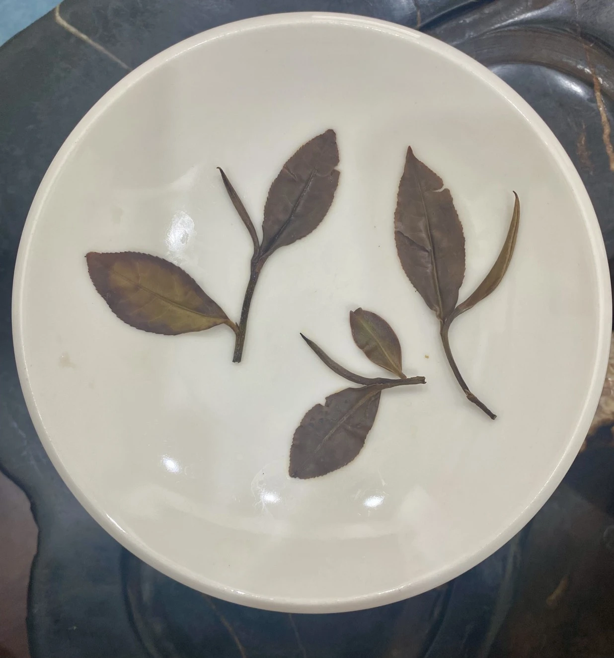 有機紅韻白茶（臺茶21）