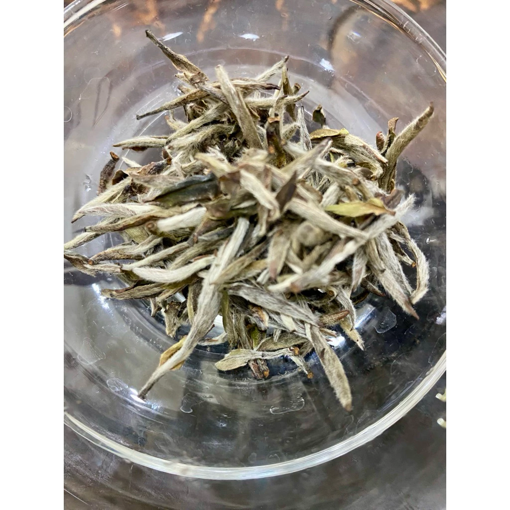 白毫銀針老白茶禮盒