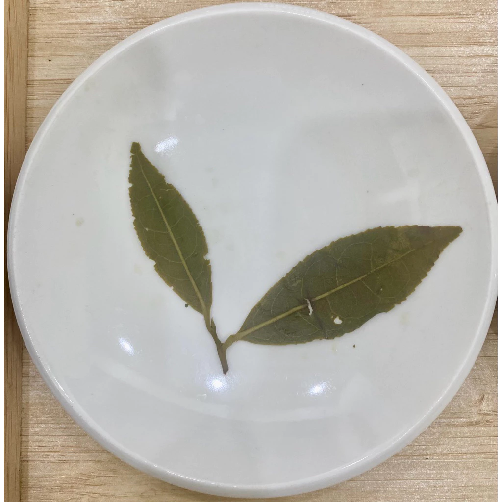 阿里山石卓烏龍茶禮盒